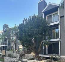 Stoner1247 - Photo 1 of 1