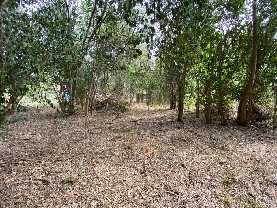 227 Bustillo Dr #NA - Photo 3 of 15