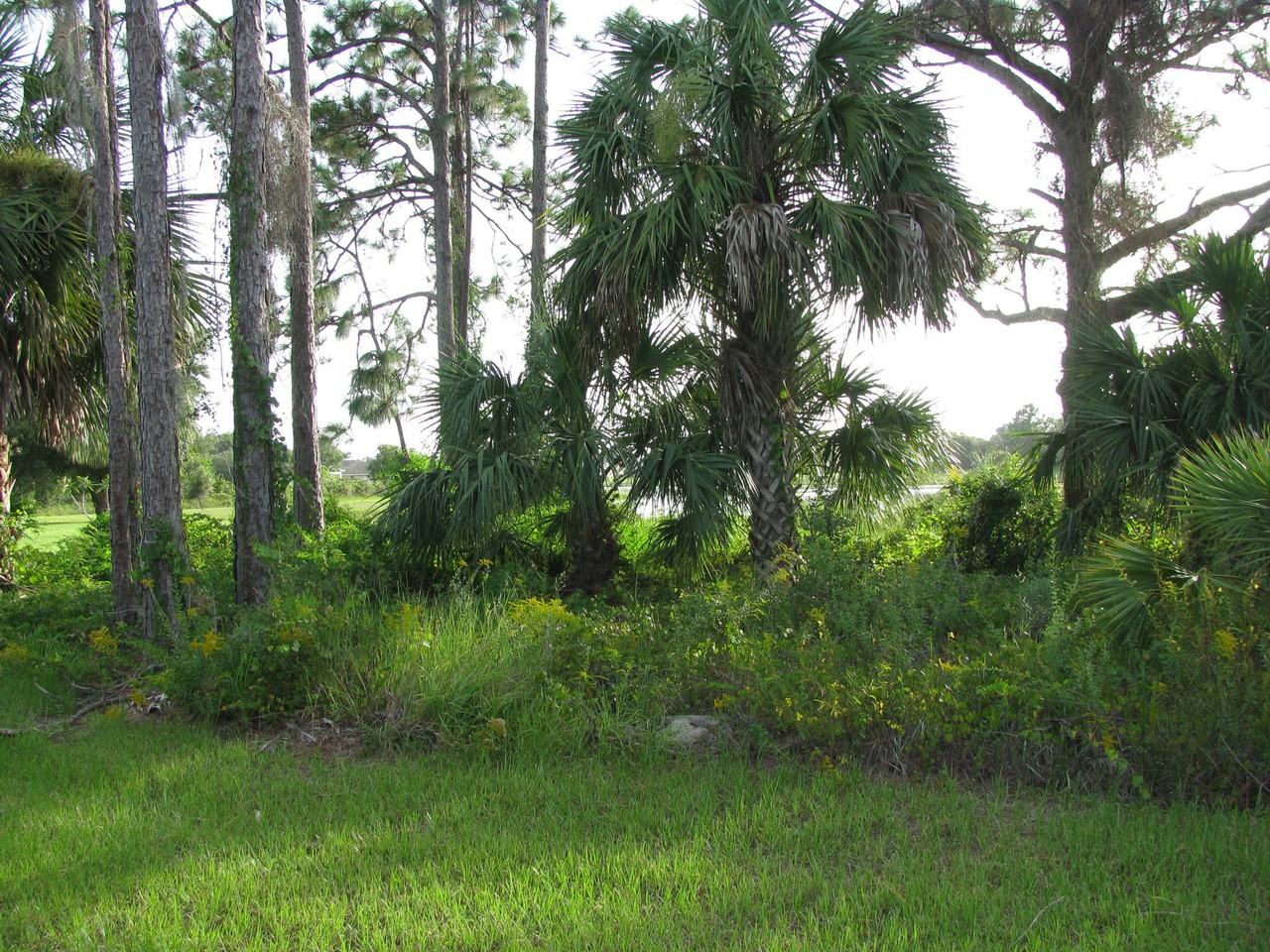 1141 Navigator Rd #1141 - Photo 3 of 13