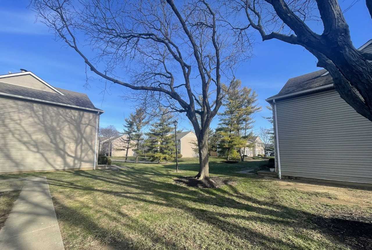 7853 Meadowhaven Blvd - Photo 3 of 23