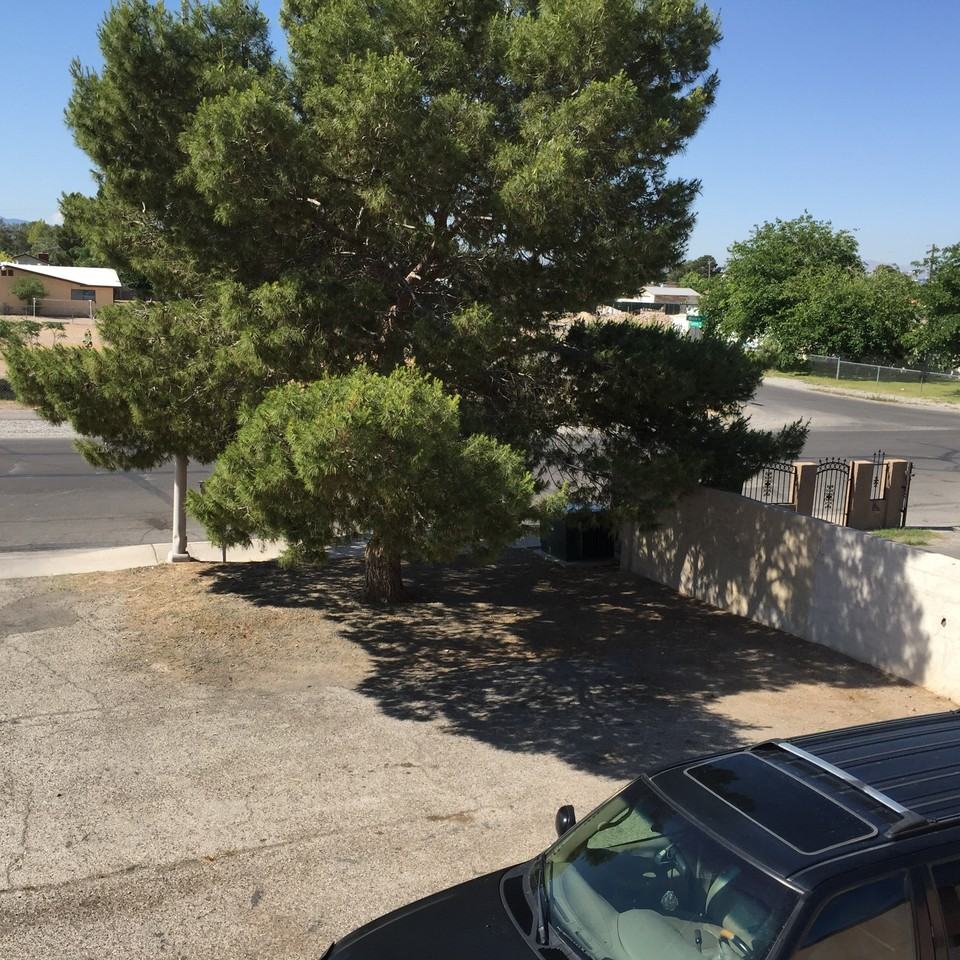 5648 Meikle Ln #D - Photo 2 of 16