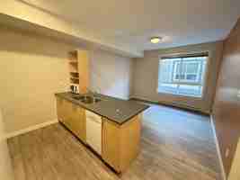 featured image of 244 Selby Street #204