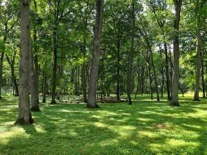 520 Upper Gardens Rd - Photo 2 of 20