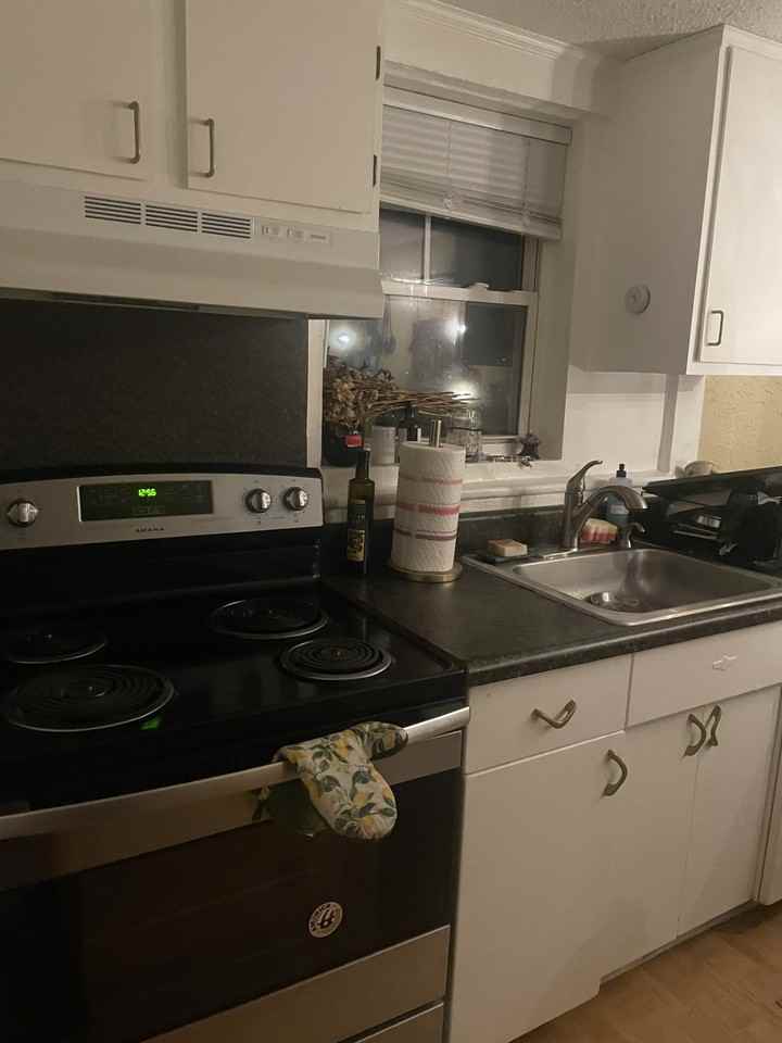 524 Washington Ave #203 - Photo 3 of 6