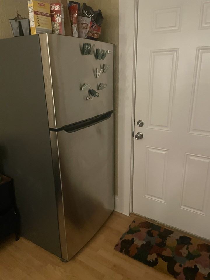 524 Washington Ave #203 - Photo 4 of 6