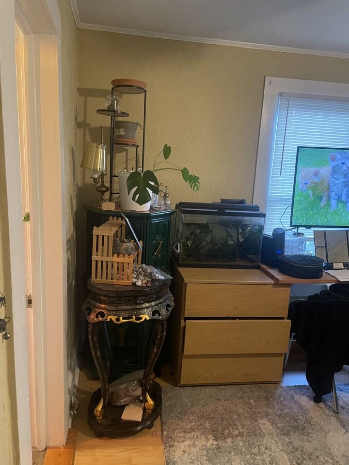 524 Washington Ave #203 - Photo 6 of 6