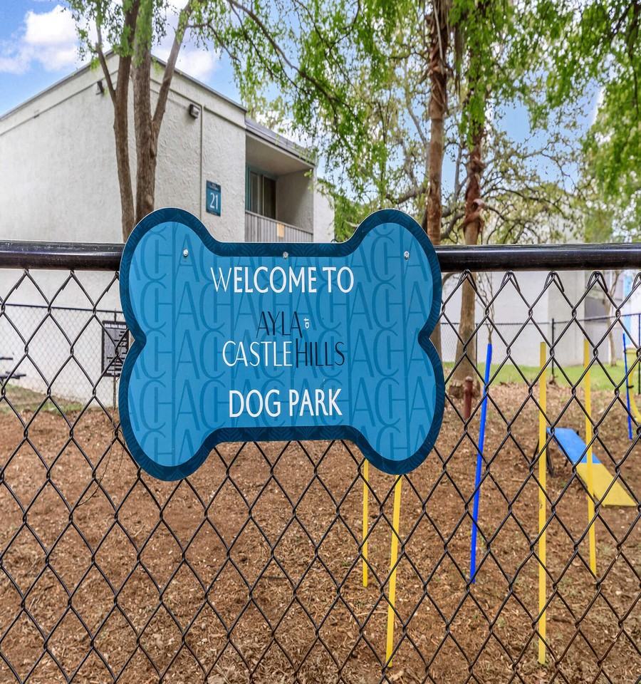 Ayla at Castle Hills - Photo 4 of 48