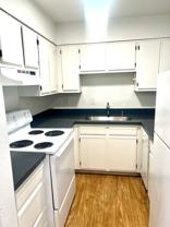 293 - Lotus Apartments - Photo 1 of 1