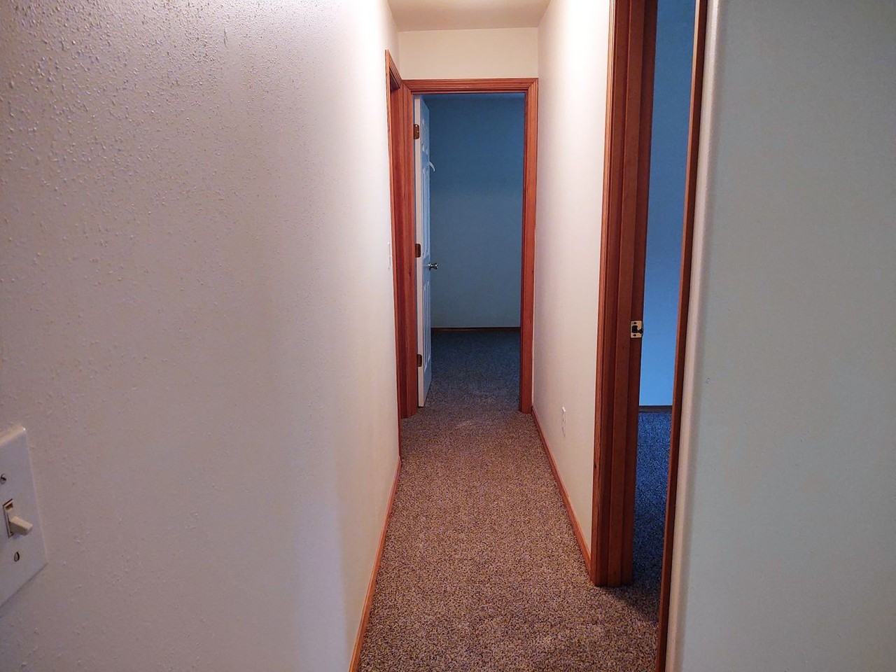 29390 State Highway 3 Ne - Photo 7 of 17