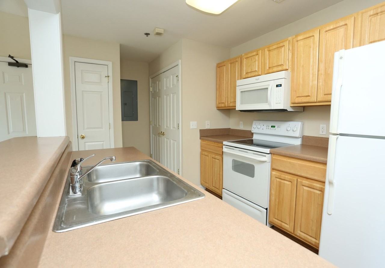 Jackson's Landing - Photo 5 of 23