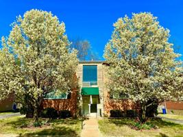 featured image of 4205 Fatima Dr