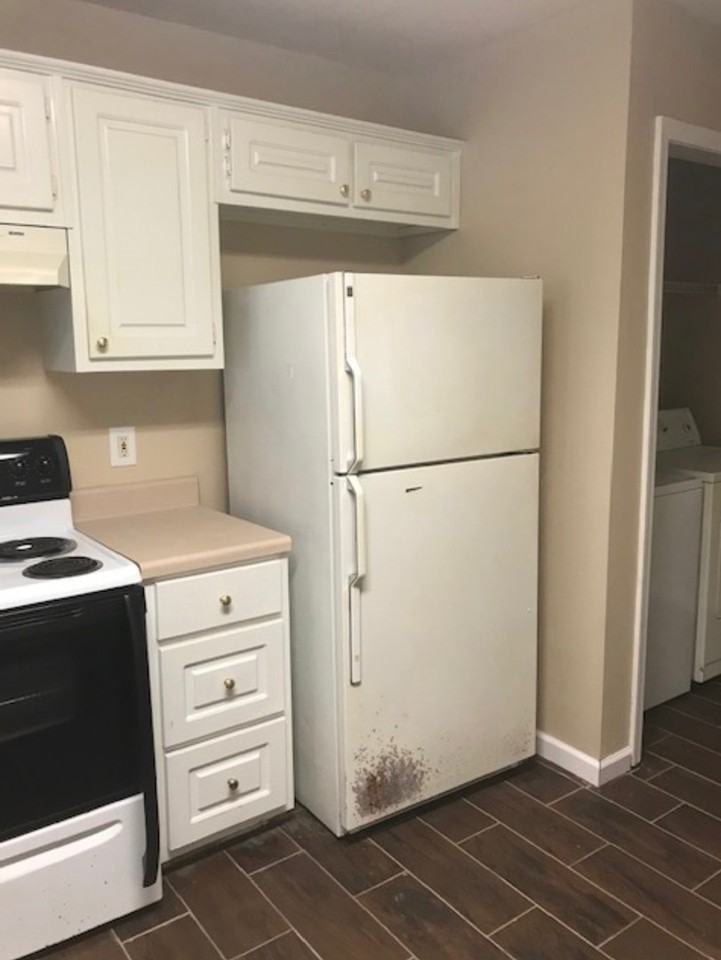 1954 Panda Ct - Photo 6 of 18