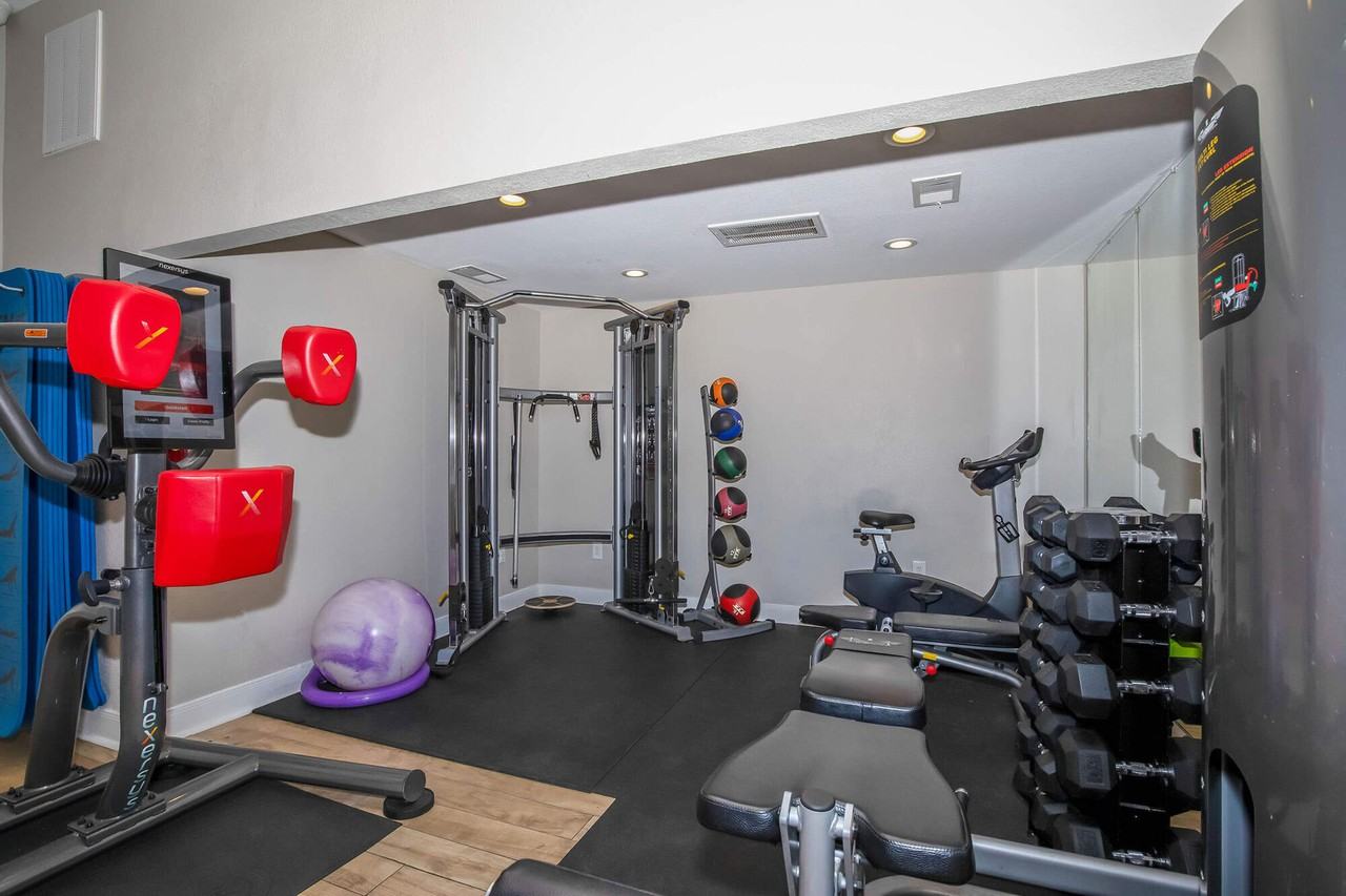 Dominion at Oak Forest - Photo 6 of 43