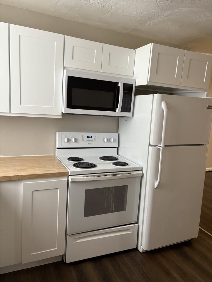 1509 South Colorado Street - Photo 3 of 20