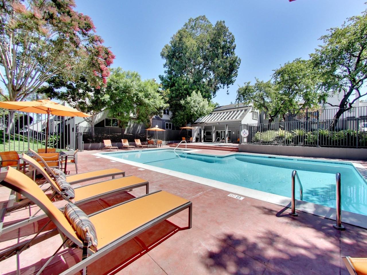 Timbers - Photo 4 of 50