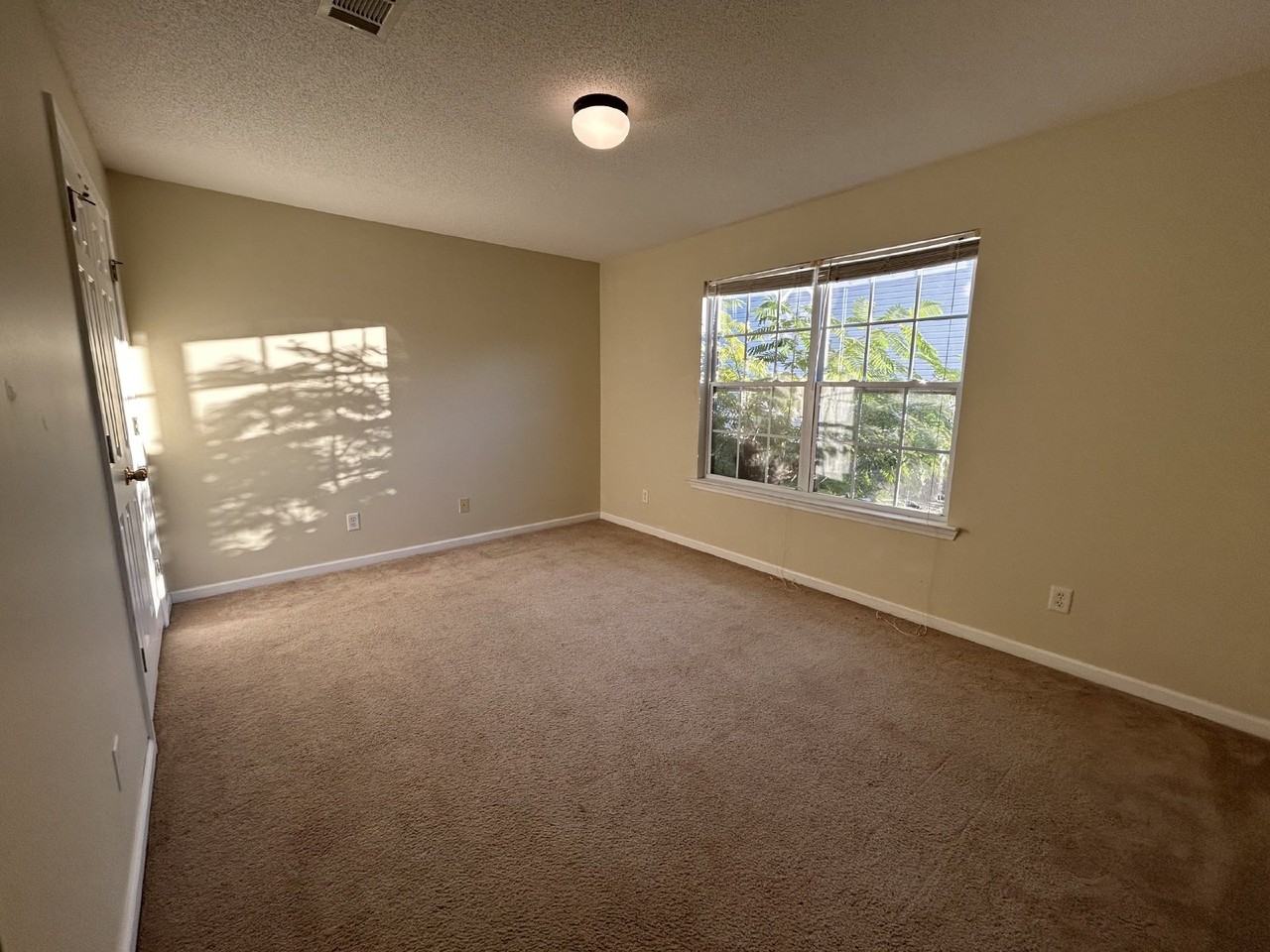 101 Hall St - Photo 7 of 11