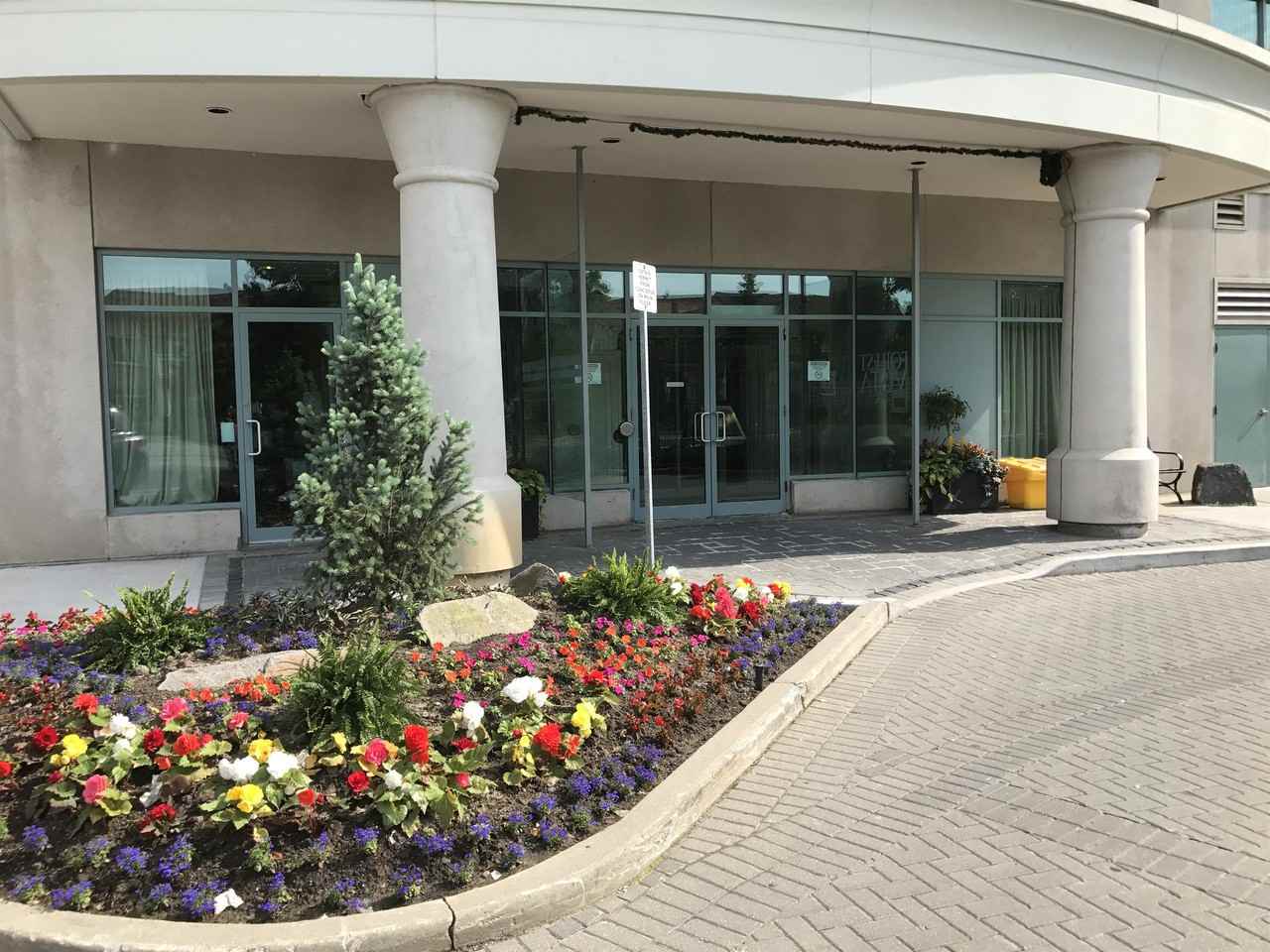 Forest Vista #11216 - Photo 3 of 17