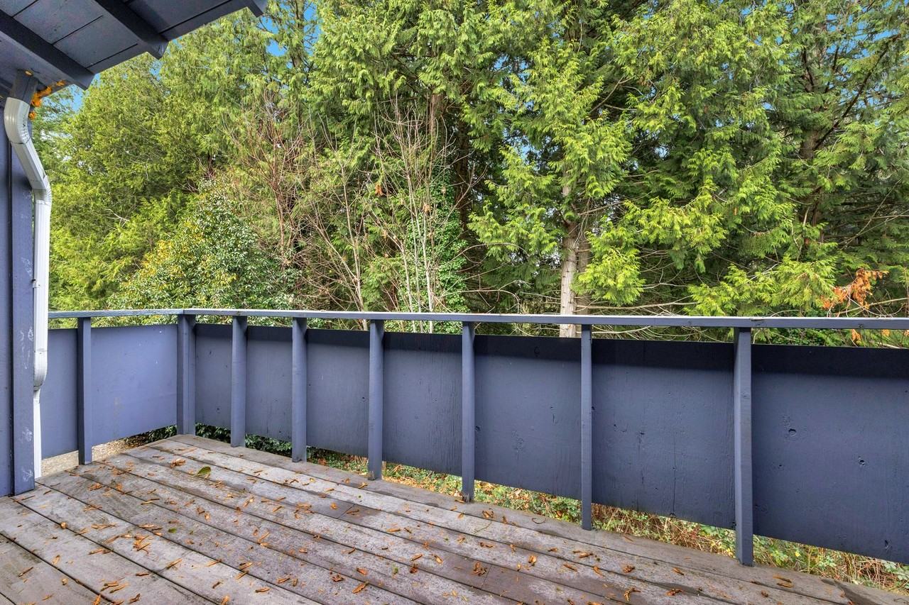 Quiet, Pet - Photo 4 of 9