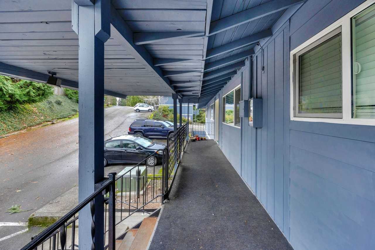 Quiet, Pet - Photo 5 of 9