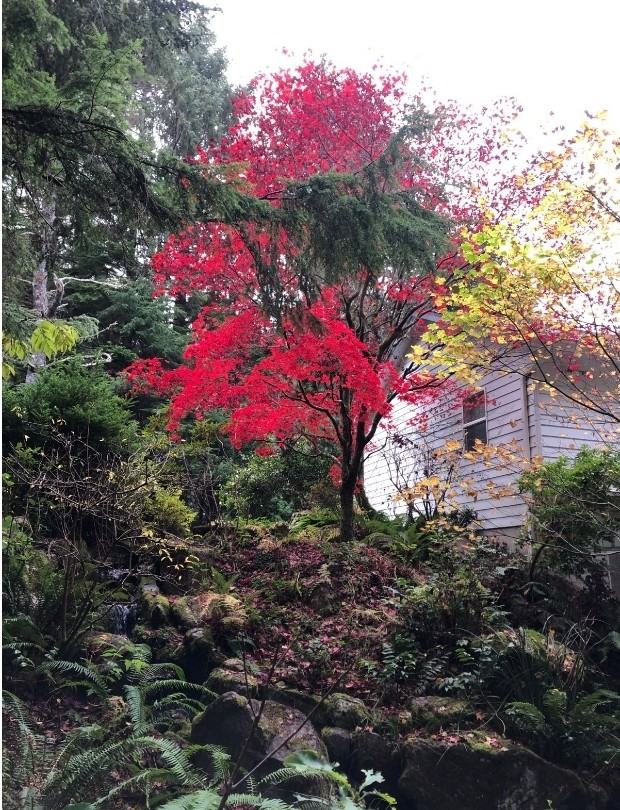 1180 Nw Terrace St - Photo 2 of 50