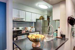 Saddle Ridge - Photo 1 of 1