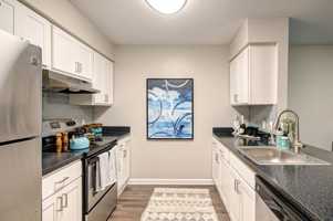 featured image of 14411 Newton Patent Ct