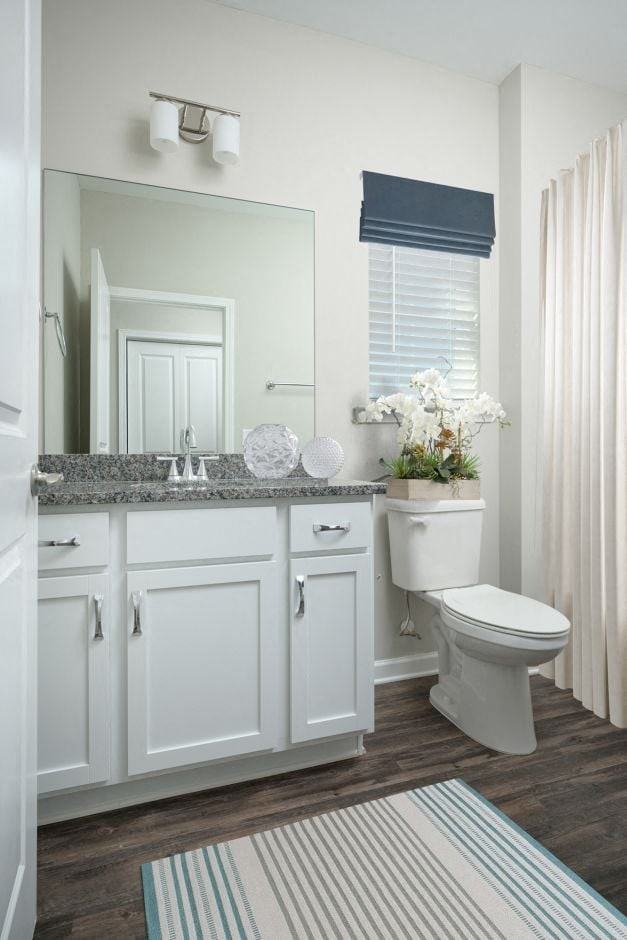 Ashford Villas Apartment Homes - Photo 6 of 31