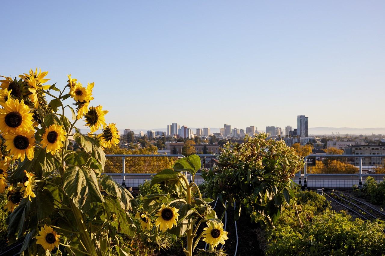 The Logan - Photo 5 of 50