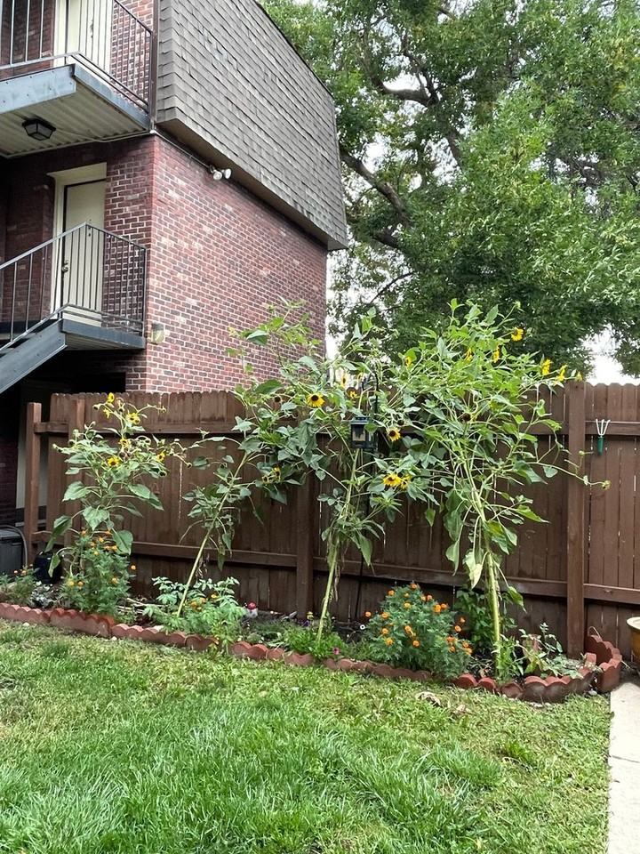Lisa Rae Apartments - Photo 2 of 13