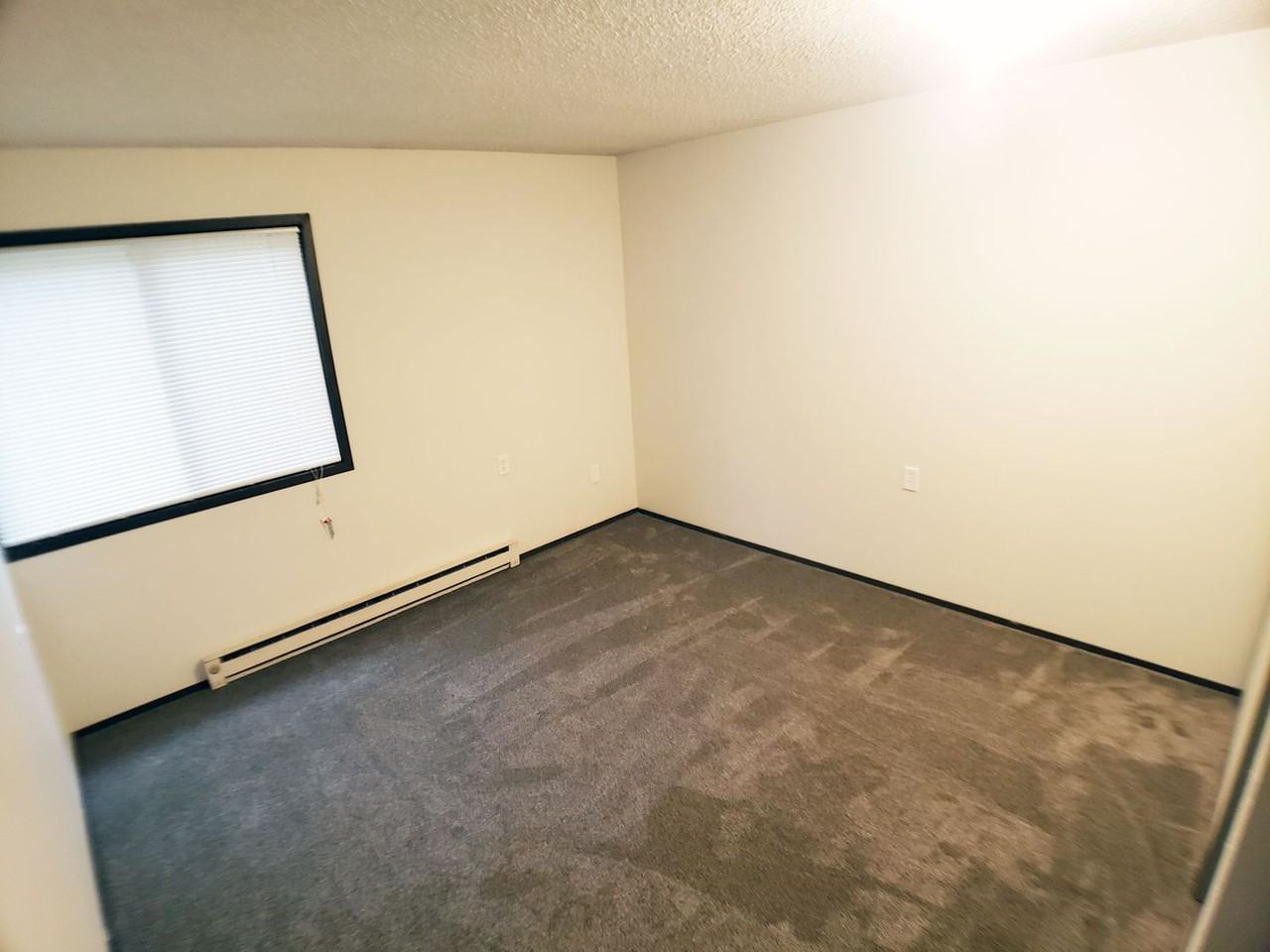 321 321 1st Ave SE - RHS LONS- #2 - Photo 6 of 8