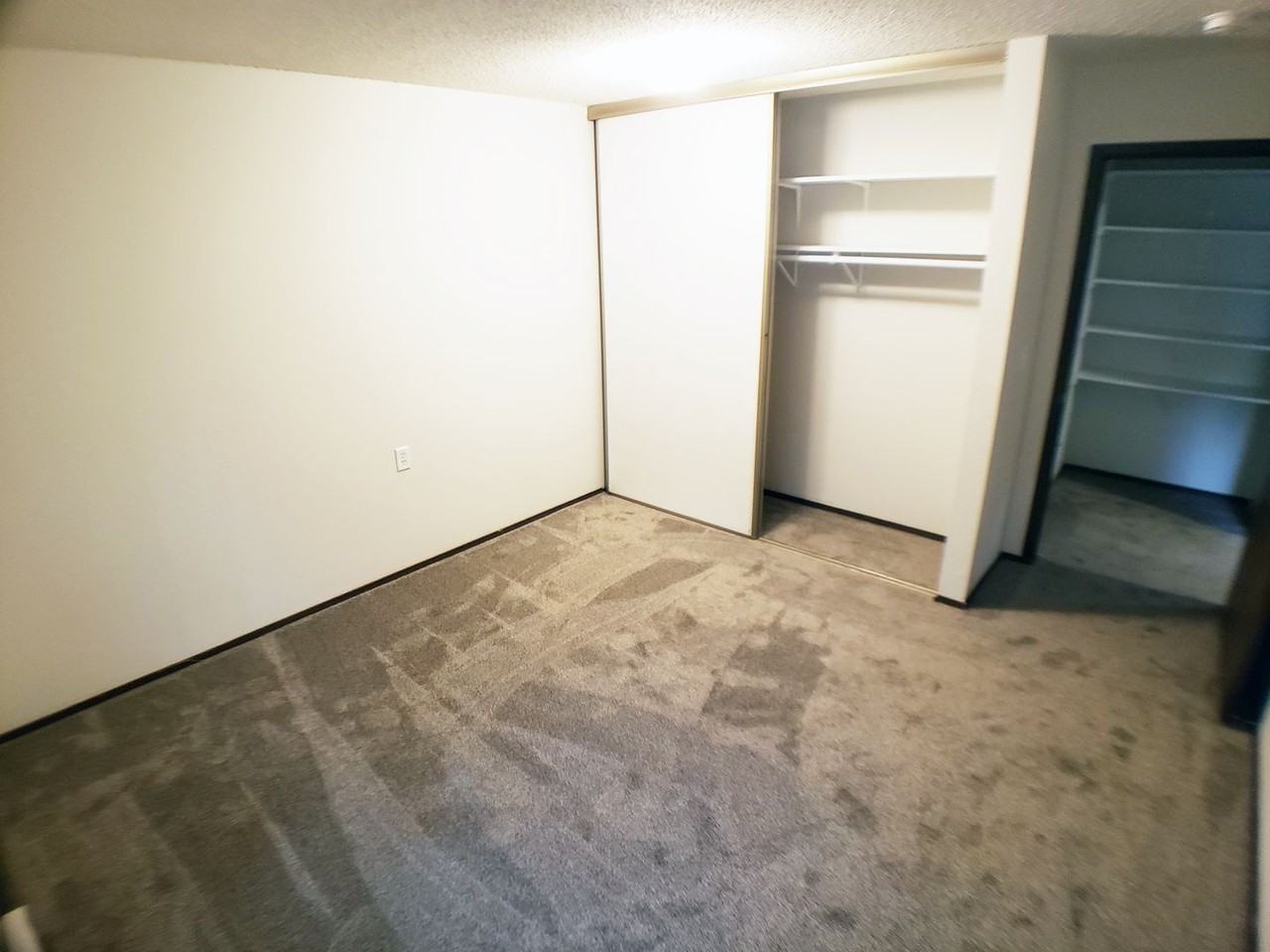 321 321 1st Ave SE - RHS LONS- #2 - Photo 7 of 8