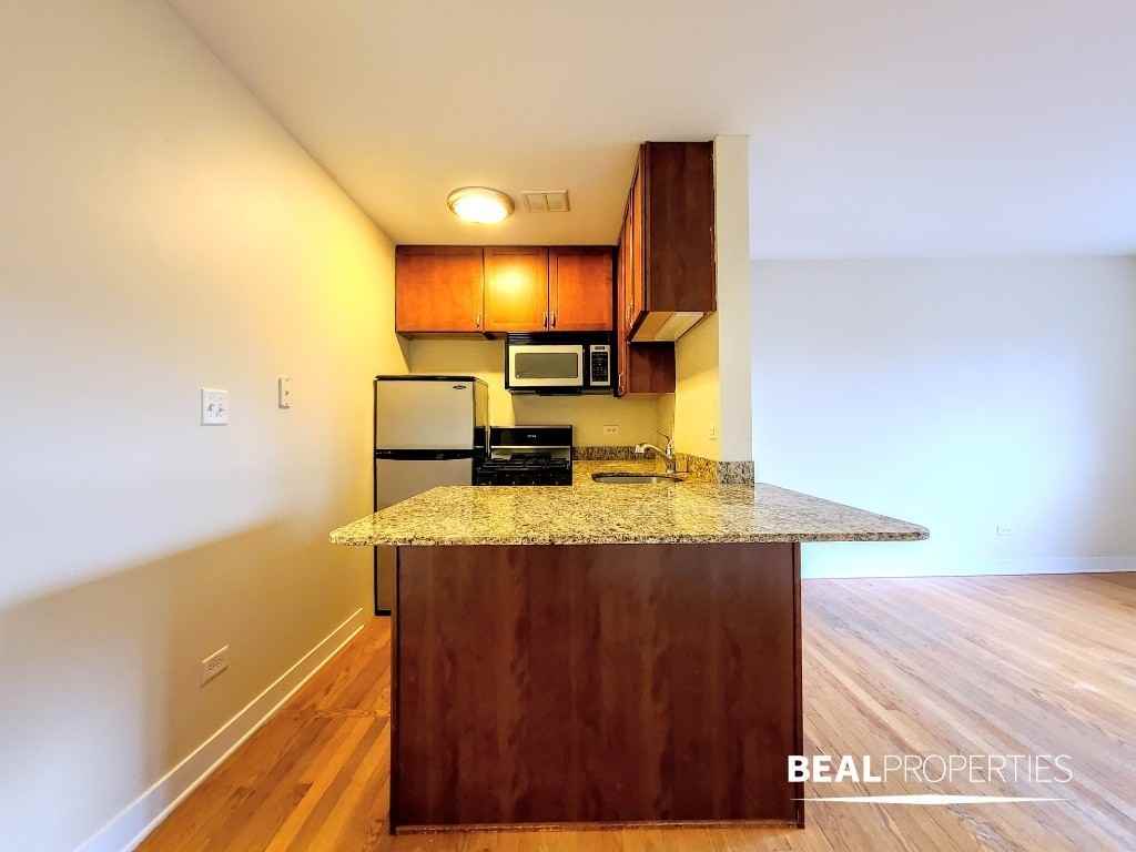 625 West Wrightwood Avenue #STD - Photo 5 of 17