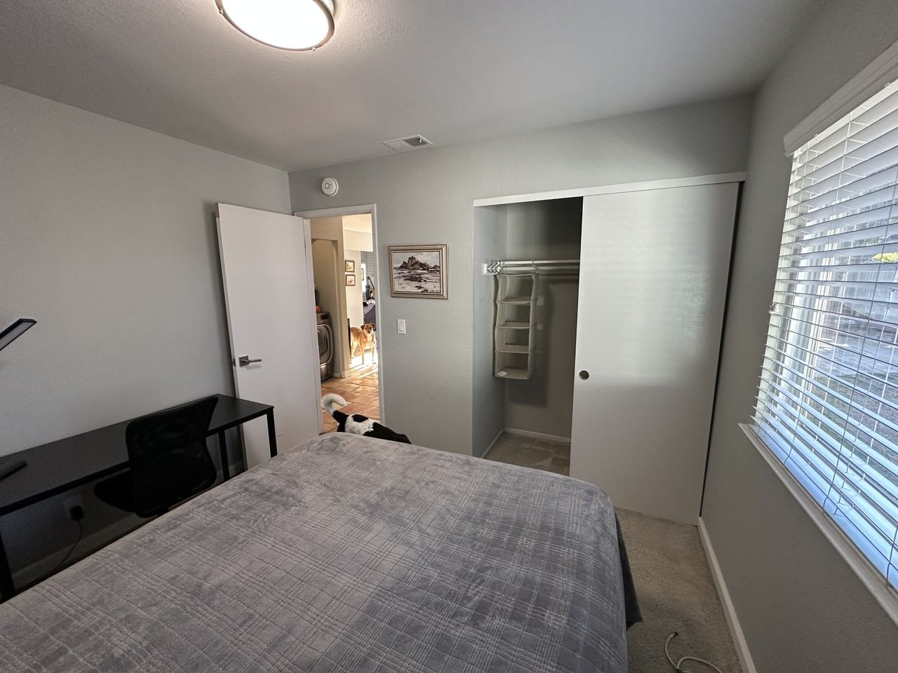 2325 Ganador Ct - Photo 2 of 28