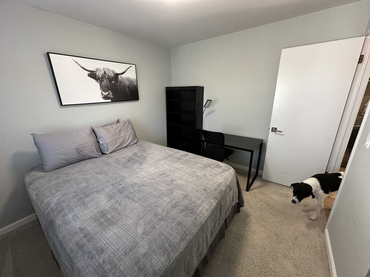 2325 Ganador Ct - Photo 3 of 28