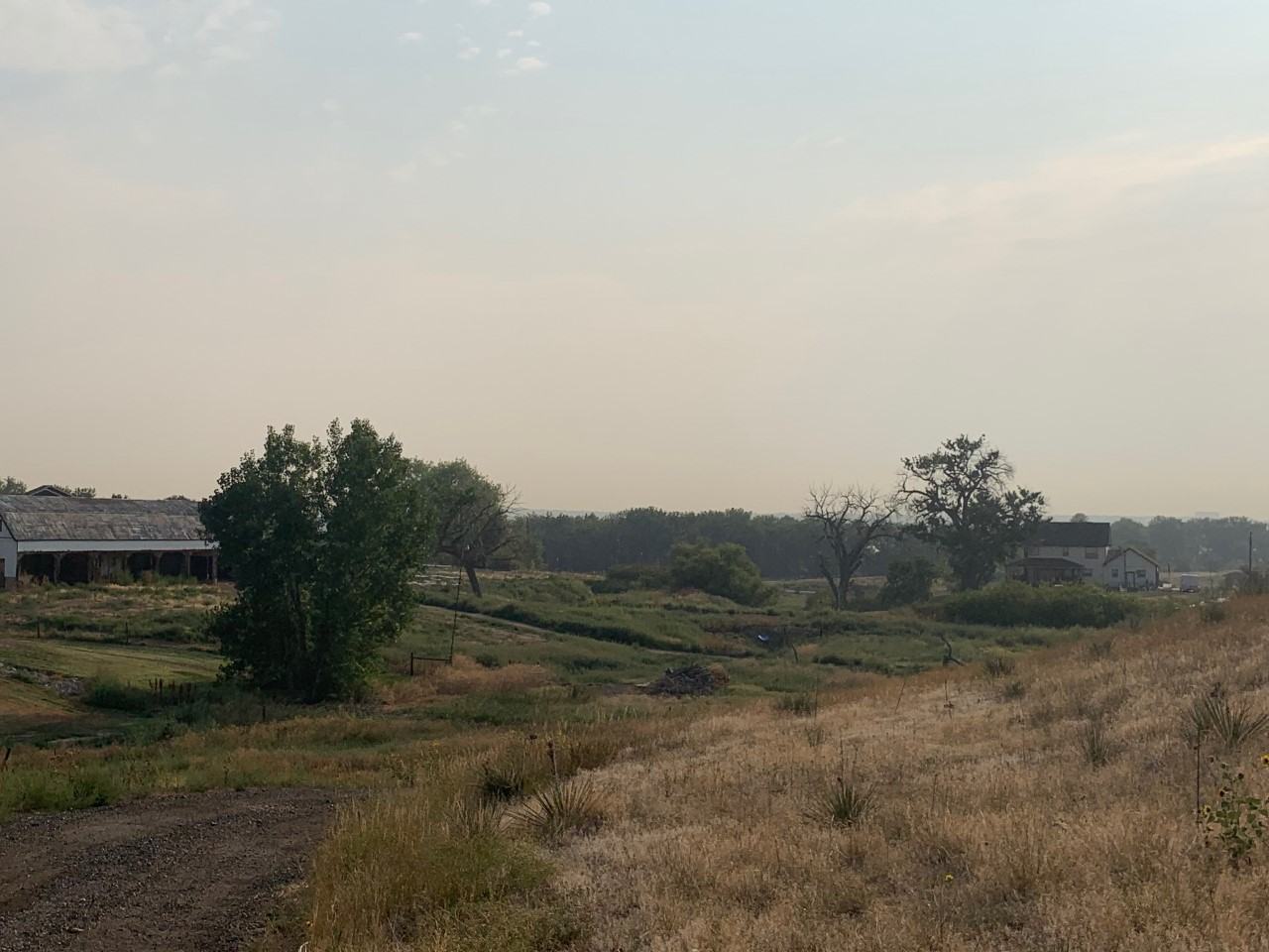 14975 Riverdale Rd #1 - Photo 4 of 19