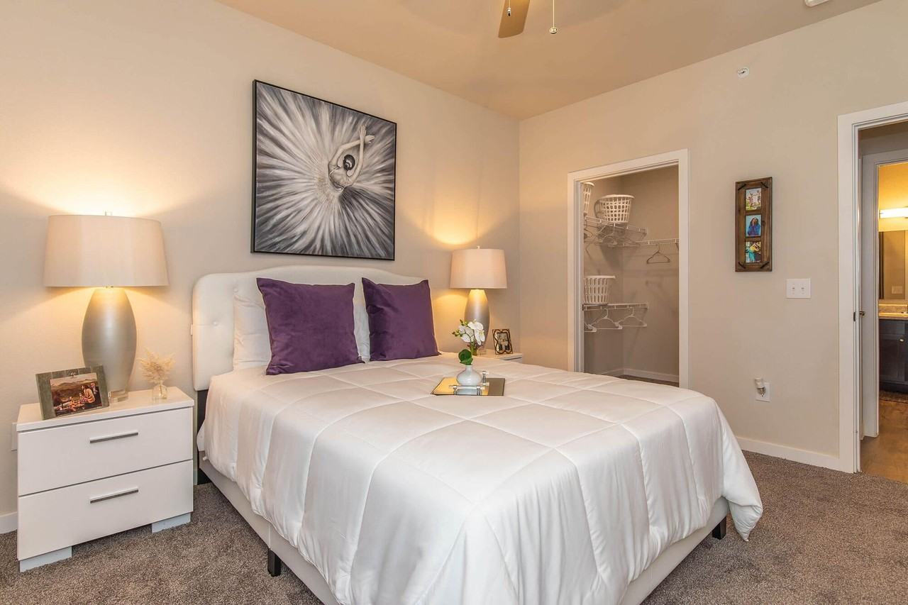 Vantage at Hutto - Photo 4 of 50