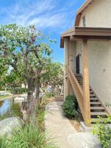 461 Orange Blossom - Photo 1 of 1