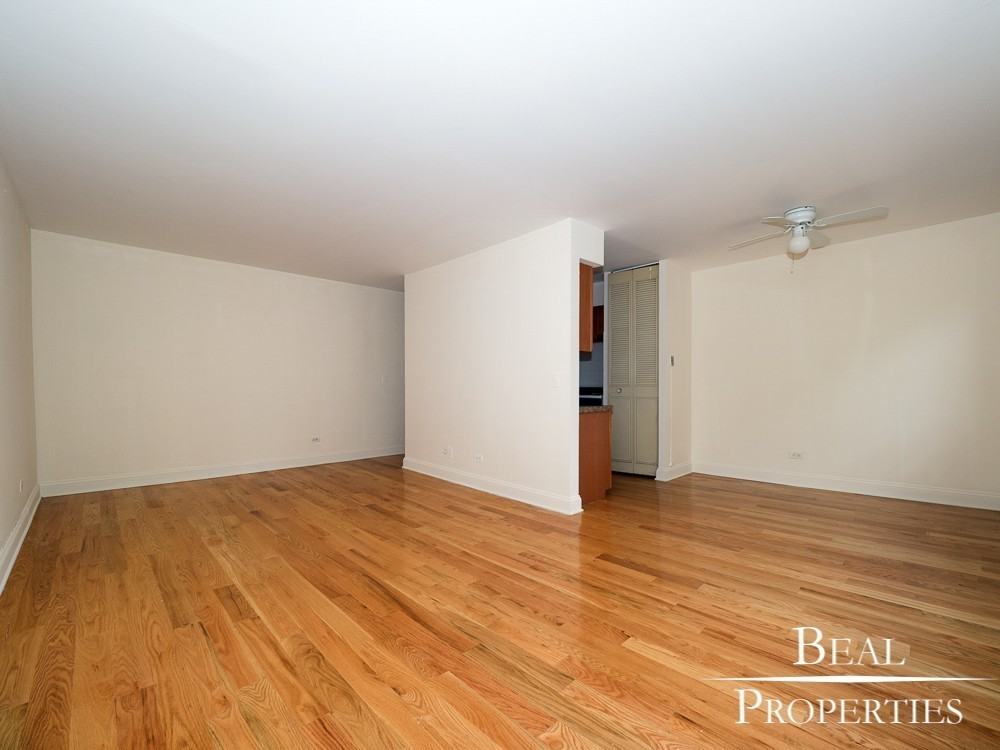 510 West Briar Place - Photo 7 of 13