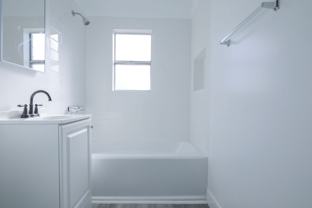 Newly Remodeled Units with Brick Exposure - Photo 1 of 1