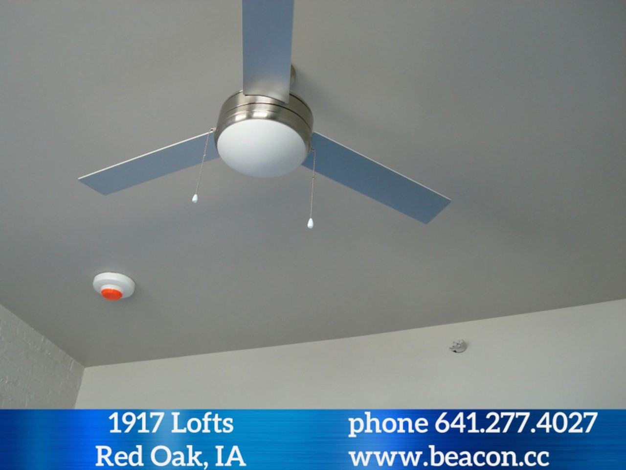 1917 Lofts Red Oak - Photo 7 of 24