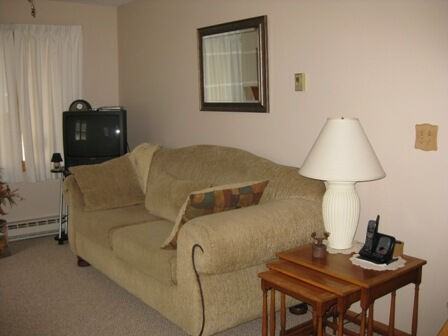 Little Village - Photo 4 of 14