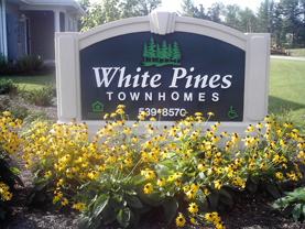 White Pine Harrison - Photo 1 of 1