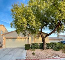 7908 Horn Beam Ct - Photo 1 of 1