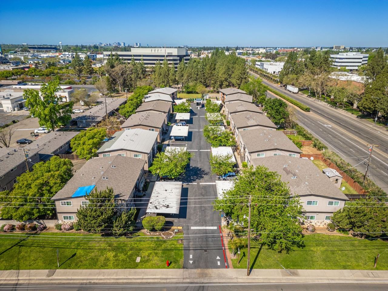 Summer Trace - Bell - Photo 4 of 17