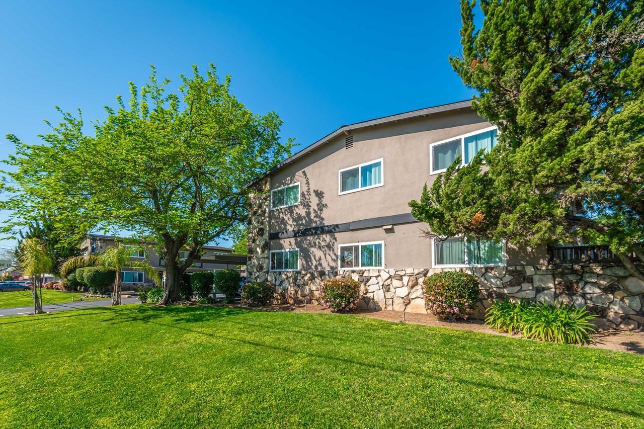 Summer Trace - Bell - Photo 3 of 17