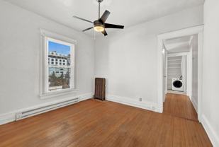 Swallow - Photo 1 of 1