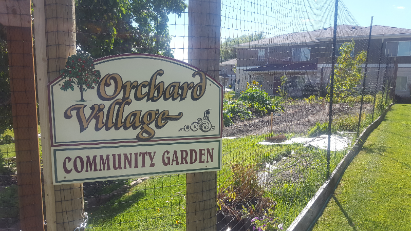 37 Appleway Dr #3 - Photo 6 of 10