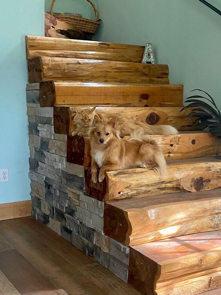 1277 Coosie Branch Rd - Photo 3 of 5