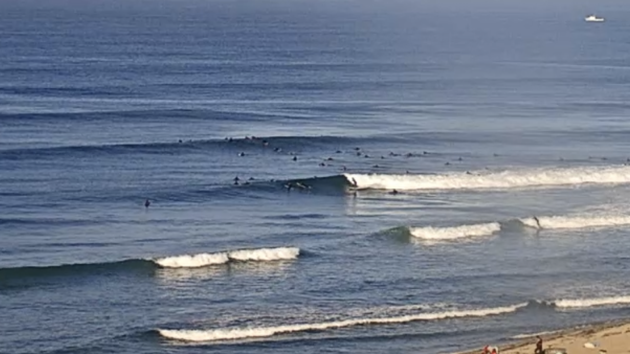 1202 N Baltimore Ave #7 - Photo 3 of 16