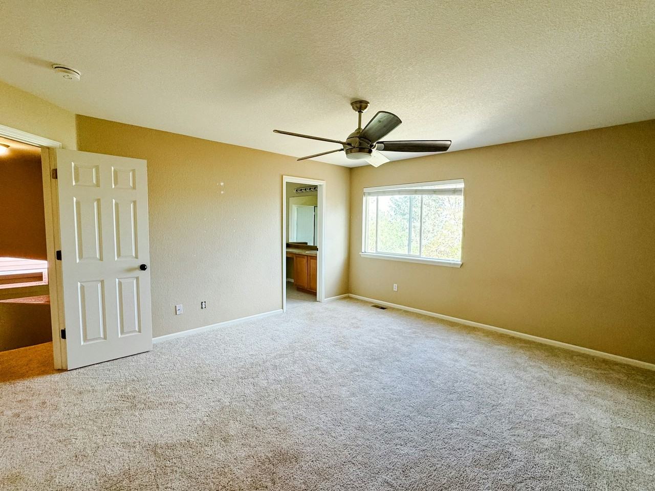 4816 Ireland Court - Photo 7 of 17